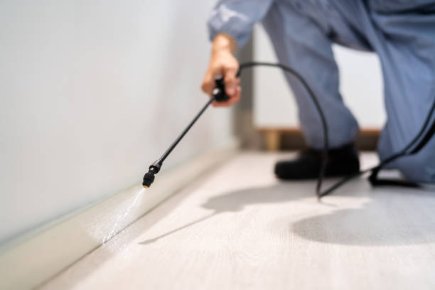 Licensed Termite Control service in Driggs, ID - Nex Pest Control