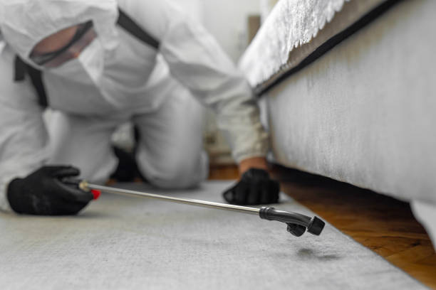 Professional Termite Control technician working in Driggs, ID