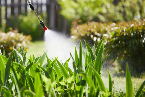 24/7 Emergency Termite Control experts in Driggs, ID