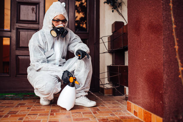 Reliable Termite Control contractor in Driggs, ID by Nex Pest Control